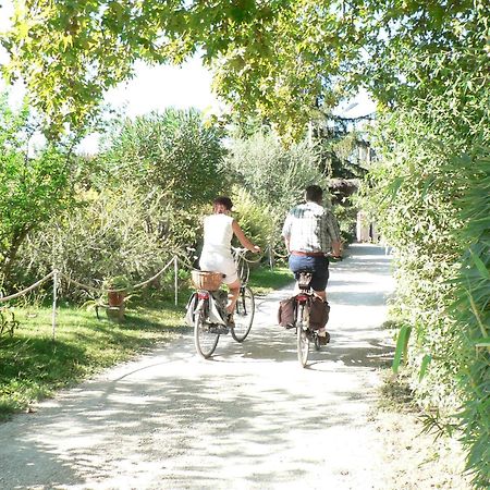 International Glamping Lago Di Bracciano 트레비나노로마노 외부 사진