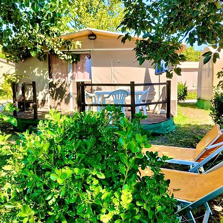 International Glamping Lago Di Bracciano 트레비나노로마노 외부 사진