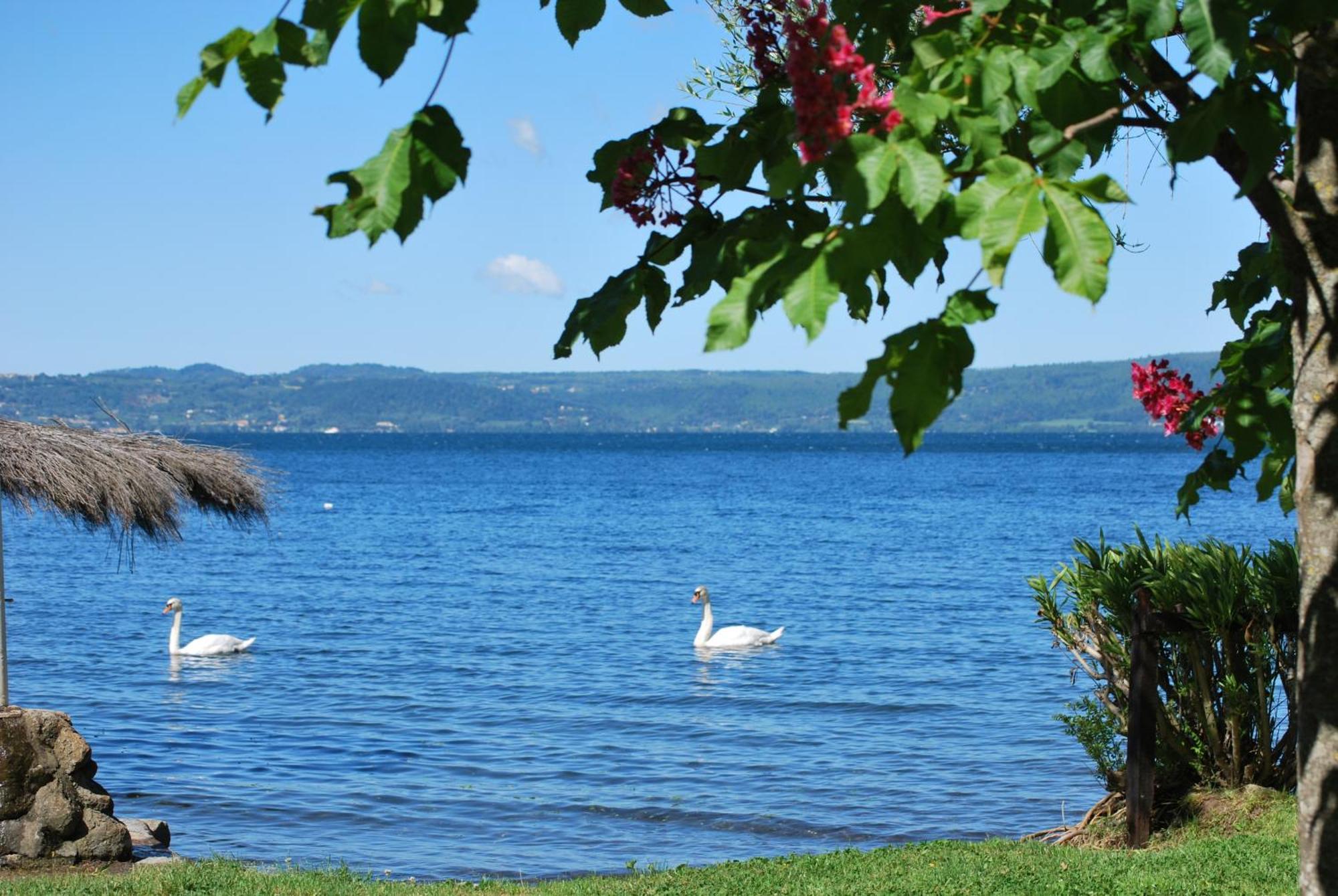 International Glamping Lago Di Bracciano 트레비나노로마노 외부 사진