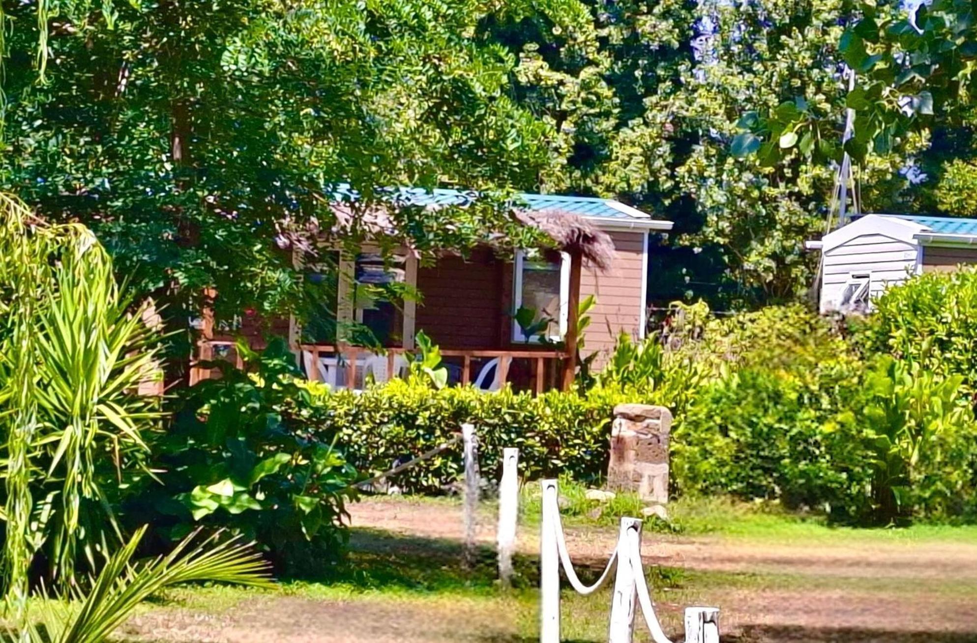 International Glamping Lago Di Bracciano 트레비나노로마노 외부 사진