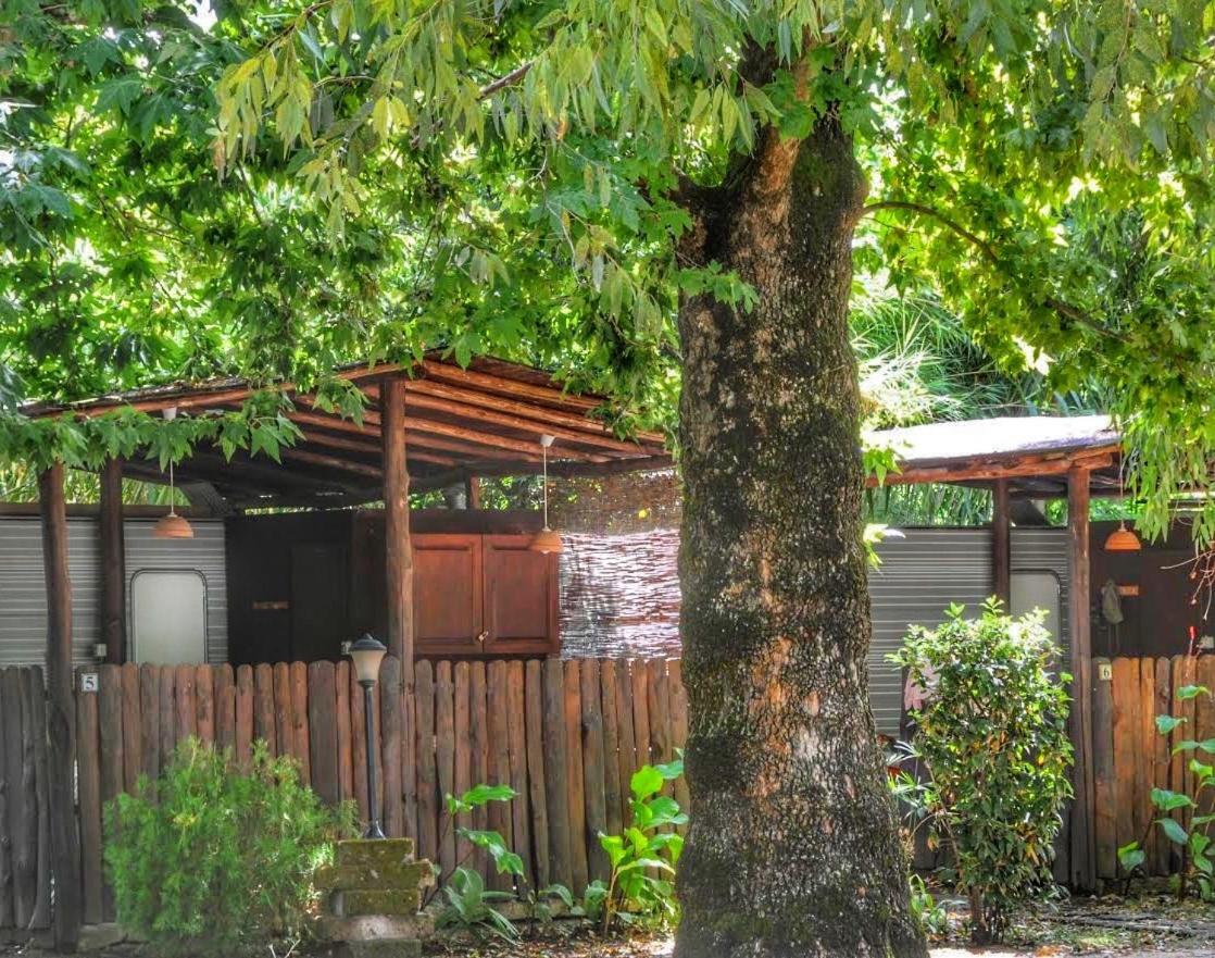 International Glamping Lago Di Bracciano 트레비나노로마노 외부 사진