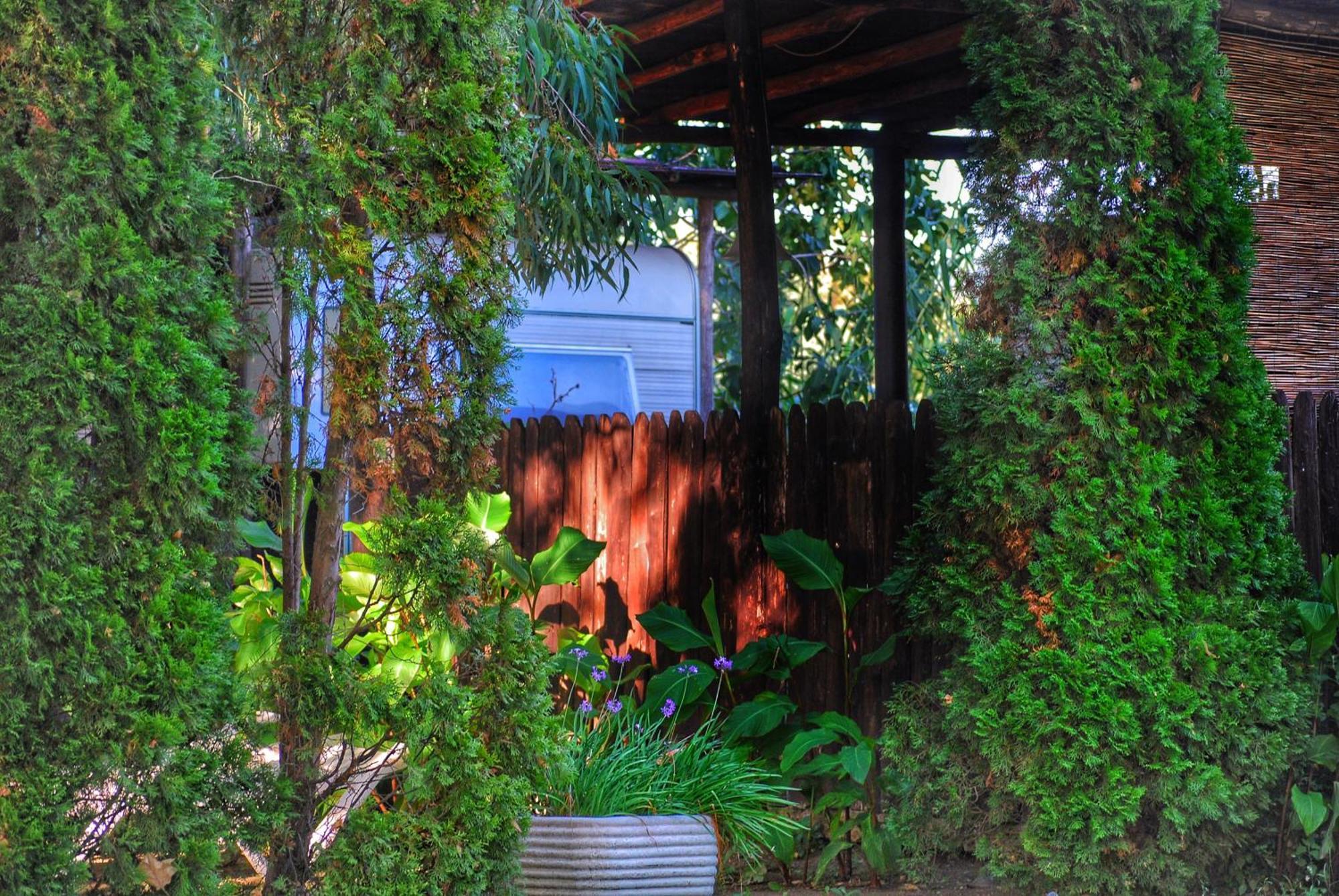 International Glamping Lago Di Bracciano 트레비나노로마노 외부 사진