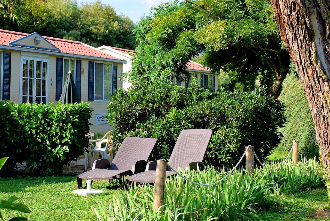 International Glamping Lago Di Bracciano 트레비나노로마노 외부 사진